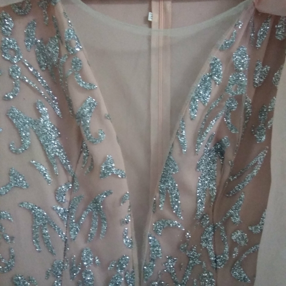 Evening Gown - Picture 2 of 4